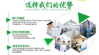 牡蠣杞草片劑OEM加工 聚焦山東市場，賦能企業(yè)網(wǎng)絡(luò)技術(shù)服務(wù)